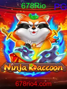 NinjaRaccoon